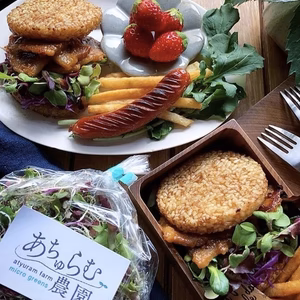 【お得なセット】マイクログリーンmix とエディブルフラワー