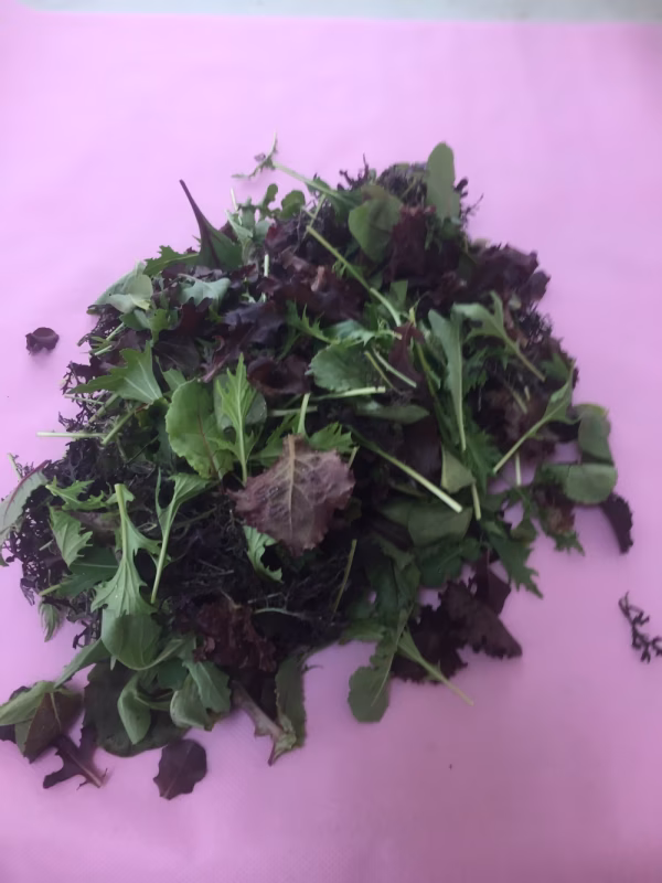 愛がいちばん、佐野菜セット