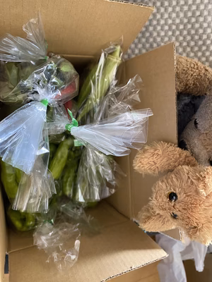 みんなの投稿の画像