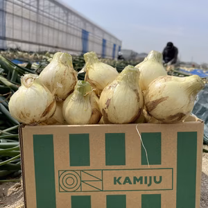 旬玉の小玉ちゃん！Sサイズ　2kg