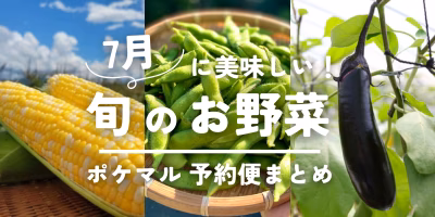 7月に美味しい旬の野菜（とうもろこし・なす・枝豆など）予約・購入も