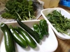 【クール便】６月中旬まで。ブロッコリー(Ｌサイズ)と旬のきまぐれ野菜セット