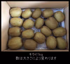 自然のままのキウイフルーツ [1kg]