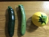夏の土の子野菜セット第1弾【農薬、化学肥料不使用】