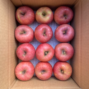 【ご家庭用＆訳あり】蜜入りりんご◡̈ 小玉高徳【こうとく】