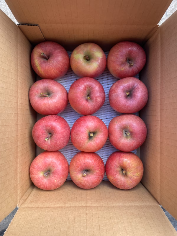 【ご家庭用＆訳あり】蜜入りりんご◡̈ 小玉高徳【こうとく】