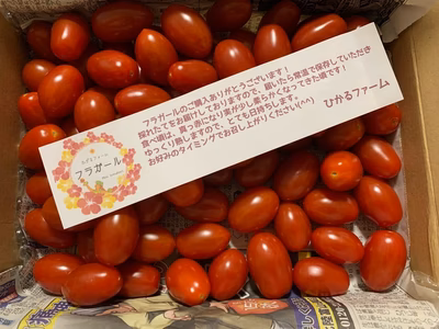 みんなの投稿の画像