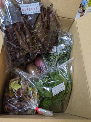 みんなの投稿の画像