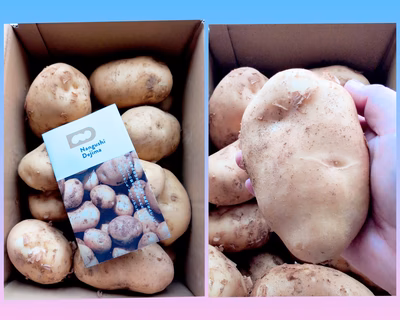 みんなの投稿の画像