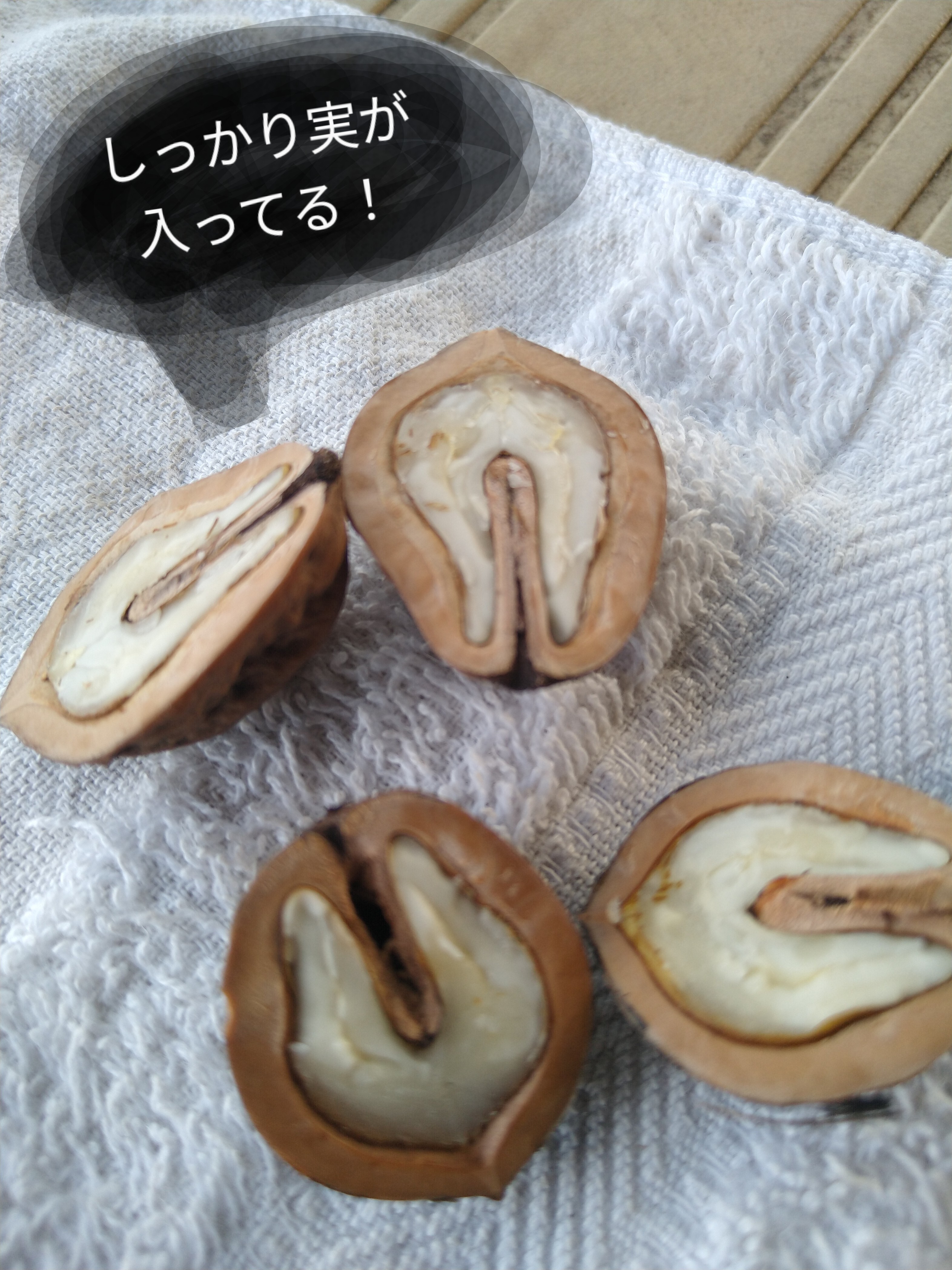 青森県十和田市の天然鬼クルミ4.5kg！｜ナッツの商品詳細｜ポケット