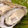 殻付き牡蠣