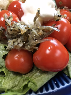 みんなの投稿の画像