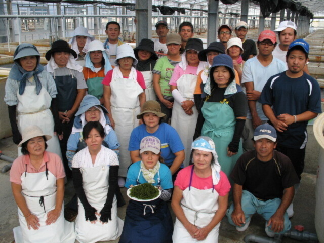 沖縄県島尻郡久米島町｜久米島海洋深層水開発（株）｜安里一月さんの生産者プロフィール｜ポケットマルシェ｜産直(産地直送)通販 - 旬の果物・野菜・魚介をお 取り寄せ