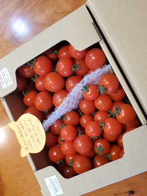 みんなの投稿の画像