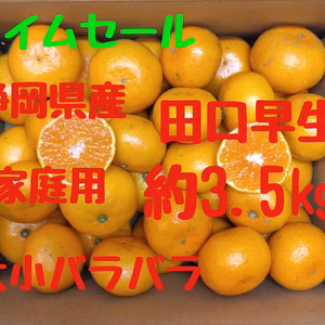 タイムセール　静岡県産　田口早生　家庭用　約3,5㎏