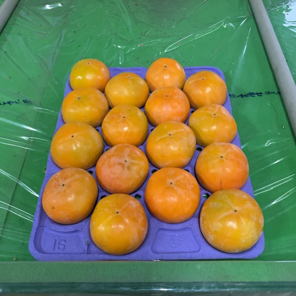 秋の味覚‼️富有柿Mサイズ16個入り⭐️岐阜県糸貫産