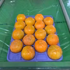 秋の味覚‼️富有柿Mサイズ16個入り⭐️岐阜県糸貫産