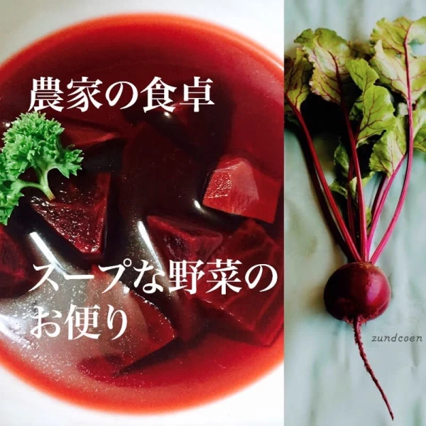 冷蔵「農家の食卓」固定種在来種おまかせ自然栽培野菜セット~スープな野菜のお便り~