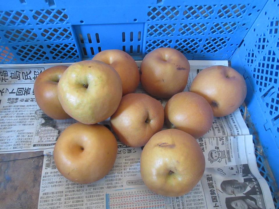 15267551_1141236315984147_5890464136258513326_n