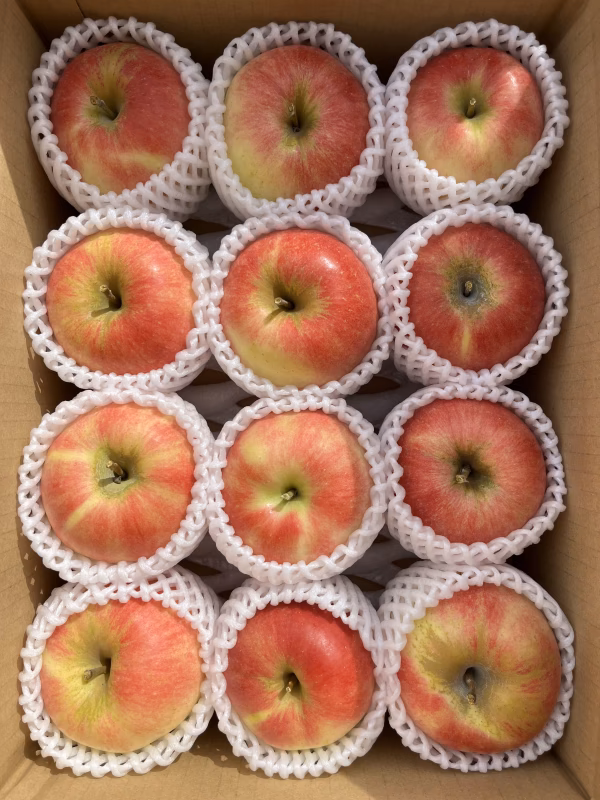 シャキシャキ❗️希少りんご！夏あかり 信州りんご 