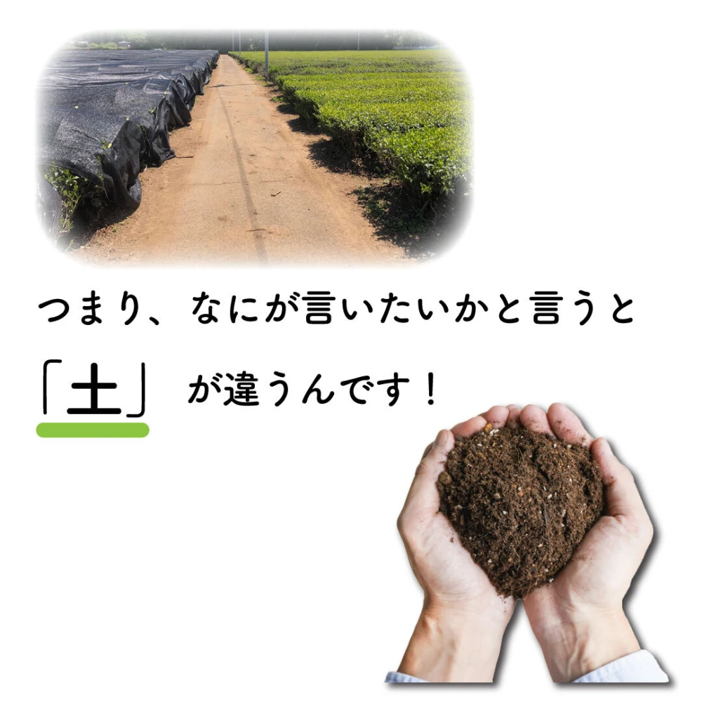 お茶屋さんのこだわりフィナンシェ／5個入り ギフト包装 贈熨斗対応できます