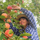 井澤純一 | 井澤農園（izawa fruits)