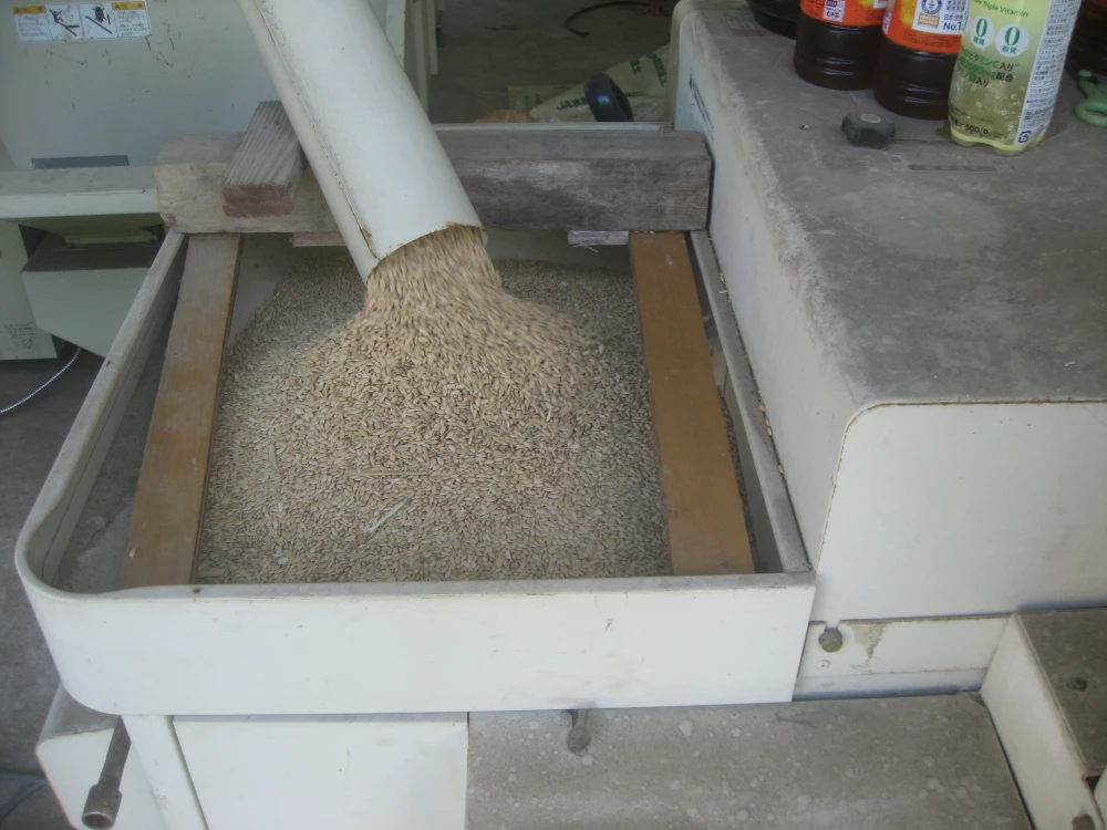 新米　　茨城県産　コシヒカリ（玄米）