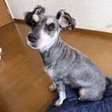 久保田 美惠