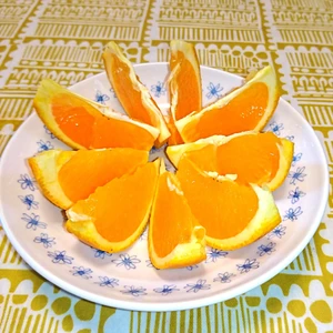 【家庭用】園主の気まぐれ 春みかん ５種盛 柑橘食べ比べ   