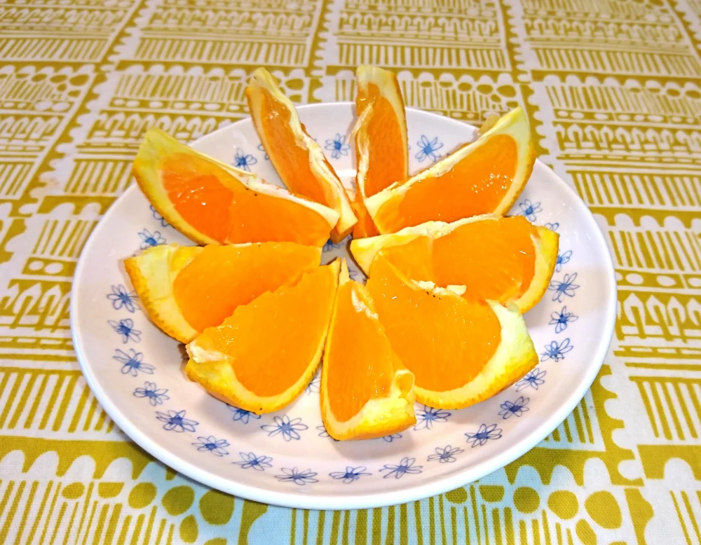 【家庭用】園主の気まぐれ 春みかん ５種盛 柑橘食べ比べ   