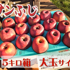 【南信州 松川町産】特別販売「完熟サンふじりんご」５k箱 大玉サイズ
