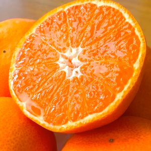 食べたら止まらない！温州みかん 4.5kg