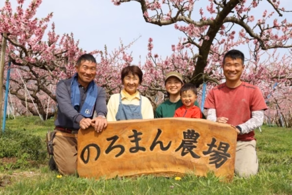 【24年8-9月発送】のろまん農場の うまいっ！川中島白桃【ふるさと納税専用】