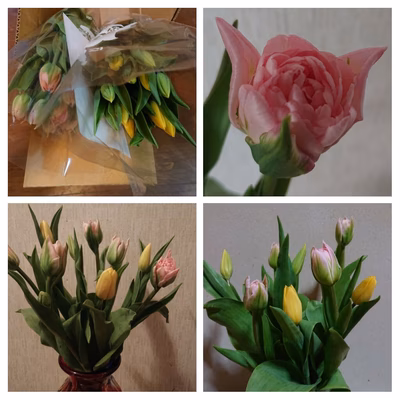 みんなの投稿の画像