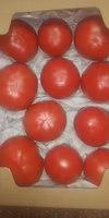 トマトの試験販売にご協力お願いします。１.8ｋｇ箱