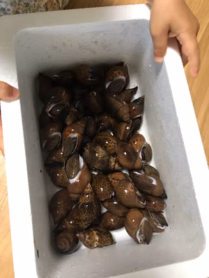 みんなの投稿の画像