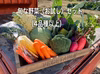 【お試し下さい】旬な野菜セット（4品種以上）