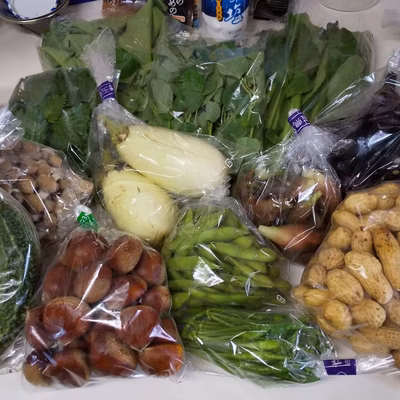 みんなの投稿の画像