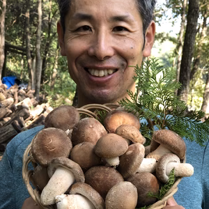 森から育てる香る木の子　 肉厚・軸太・濃厚な原木しいたけ