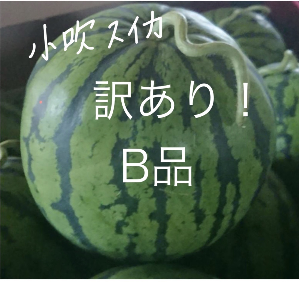 訳ありb品 空洞果 小吹スイカlサイズ4 7 6 5kg 農家漁師から産地直送の通販 ポケットマルシェ