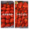 1箱1kg♡苺の食べ比べ(さがほのか&いちごさん)セット