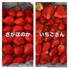 1箱1kg♡苺の食べ比べ(さがほのか&いちごさん)セット