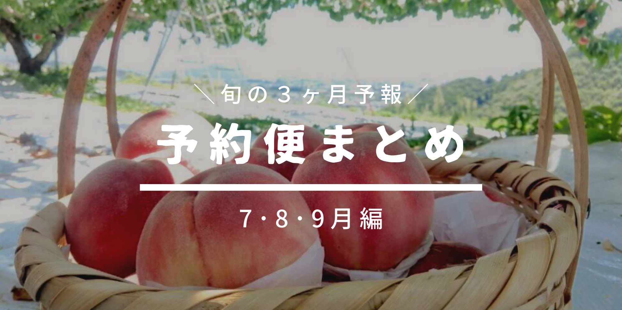 予約便でみる旬の3ヶ月予報[7・8・9月編]????もももすももも旬きたる | 農家漁師から産地直送の通販 ポケットマルシェ