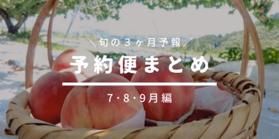 予約便でみる旬の3ヶ月予報[7･8･9月編]🍑もももすももも旬きたる