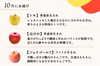 目指せ！旬の9品種を制覇「りんごのコンプリート定期便」