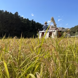 制野敬一 | 制野農園