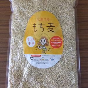 食物繊維豊富！人気のヘルシーフード『もち麦キラリモチ』精麦850g