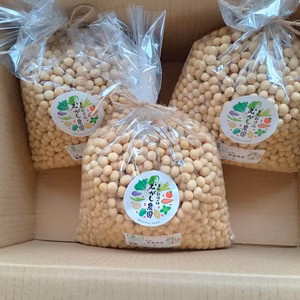 【希少！青森県産有機大豆3.5キロ】遺伝子組み換え技術不使用、安心を食卓に！