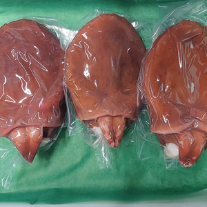 北海道小樽産 茹でタコ頭 600g×3(冷凍)