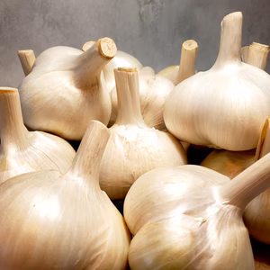 ホクホク！山形県産ジャンボニンニク1kg